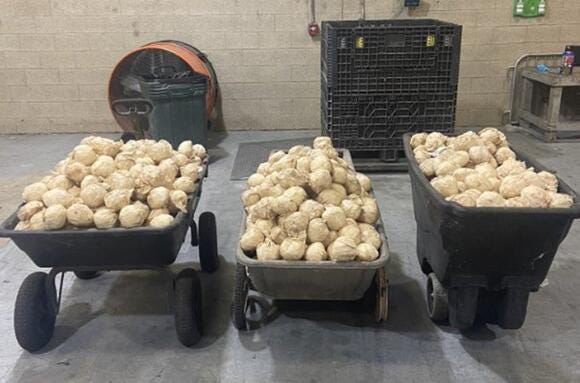 Meth seized by US Federal Agents in Pharr, Texas Meth seized by US Federal Agents in Pharr, Texas
