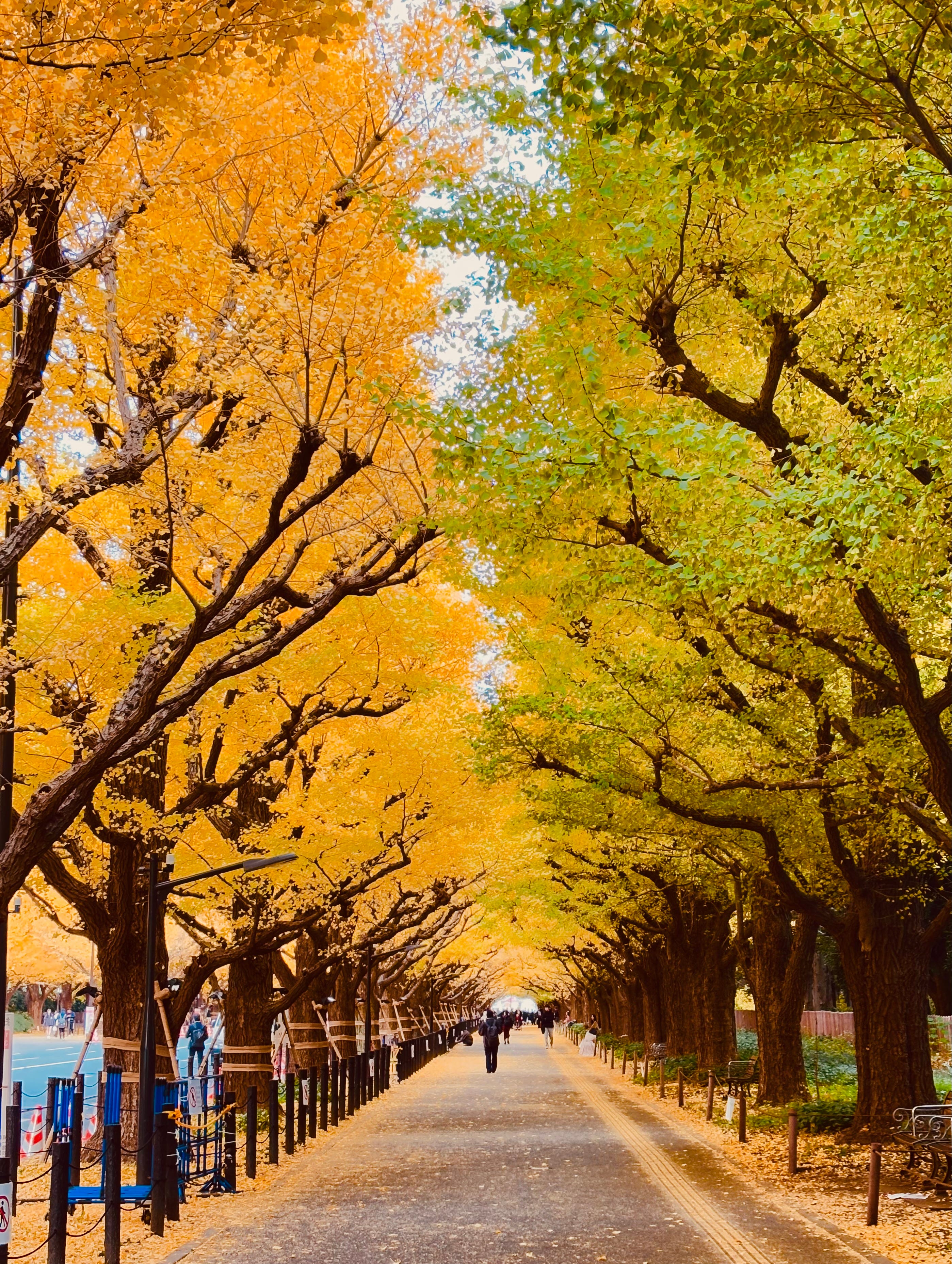 autumnページ 175 Autumn at Its Edge - by Hideo Tanikawa - Japan A to Z