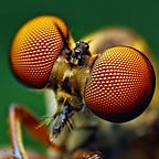 Bonner Private Research