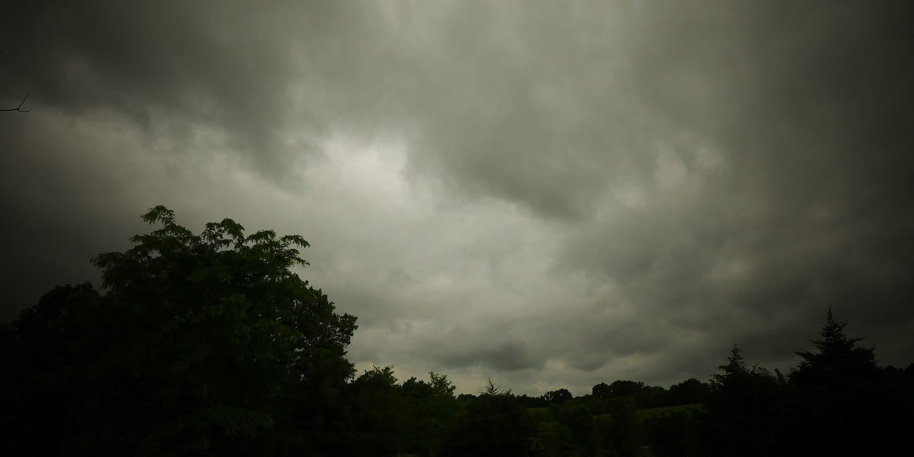 Hunger, Prayer, and Hazelnut Sprouts