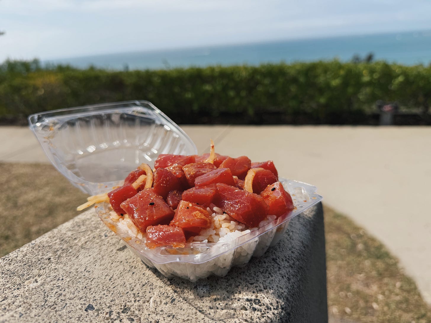 Poke bowl with ahi tuna and salmon over rice overlooking the Pacific Ocean near Kawamata Seafood in Dana Point
