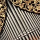 Organing ~ with Diane Meredith Belcher