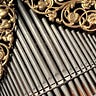 Organing ~ with Diane Meredith Belcher