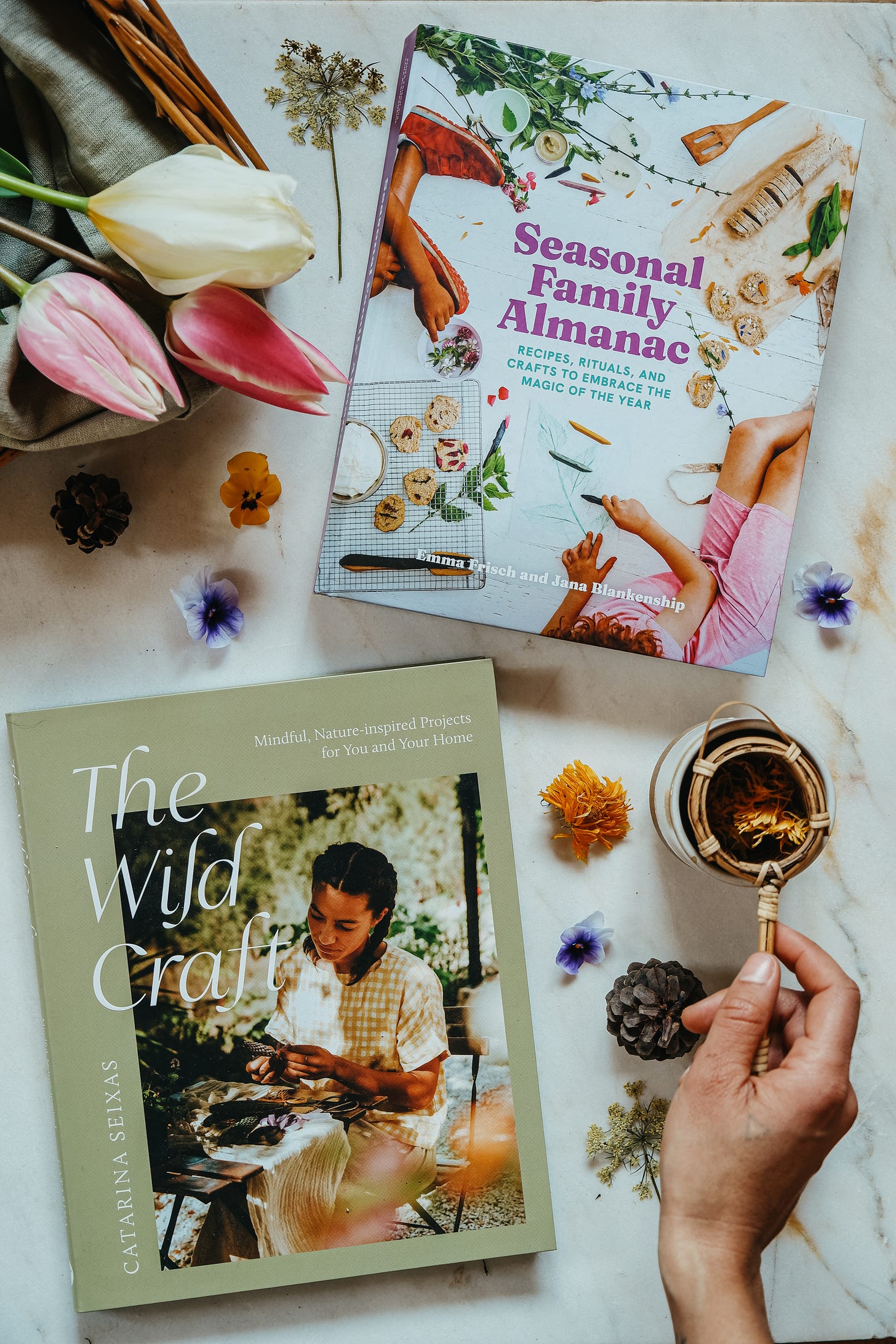 Picture of two books, one above the other, Seasonal Family Almanac and The Wild Craft