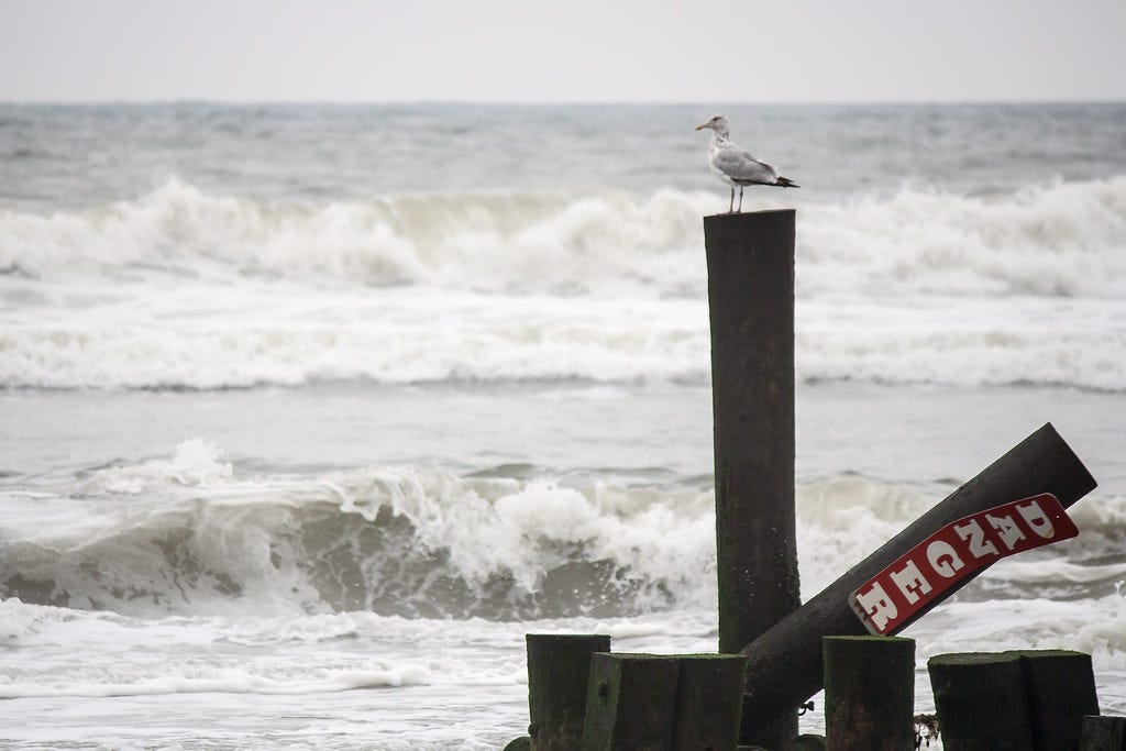 Danger: Atlantic City Beach