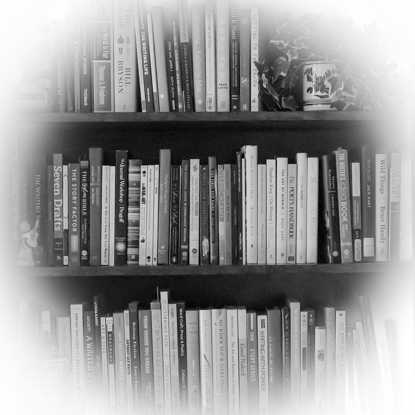 A black and white photo of a bookshelf filled with various books on writing and literature, accented by a small potted plant. A black and white photo of a bookshelf filled with various books on writing and literature, accented by a small potted plant.
