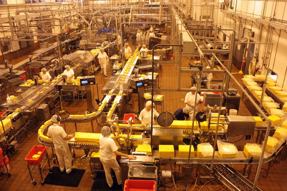 tillamook cheese factory tillamook cheese factory