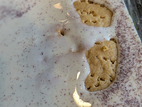 Cinnamon - photo by Mae Mu via Unsplash. Cake with fork holes all over the top being soaked in 3 milk mixture (I put some extra cinnamon in this batch). Whisk with whipped cream - photo by Tamara Gak via Unsplash