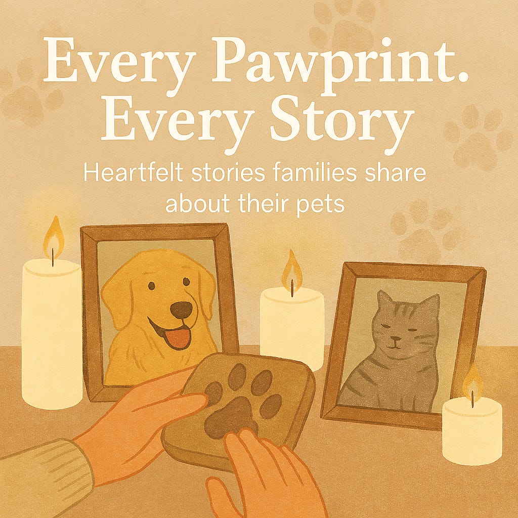 Every Pawprint Every Story