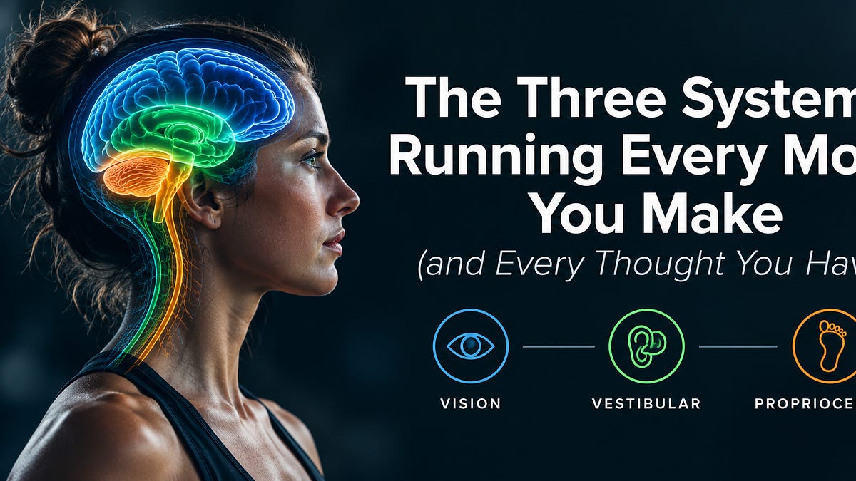 The Three Systems Running Every Move You Make (and Every Thought You Have)