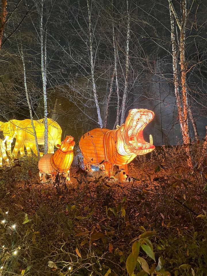 Holiday Lights at the Bronx Zio