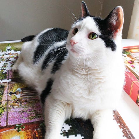 Gallery of Castorland Still Life With Snapdragons Jigsaw Puzzle