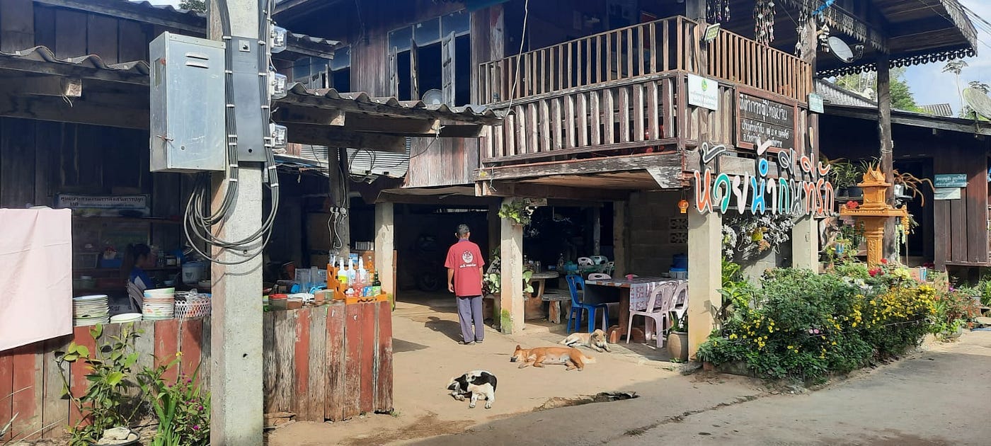 A shop, sleeping dogs, and some colourful lettering.