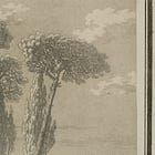 Road With Cypresses