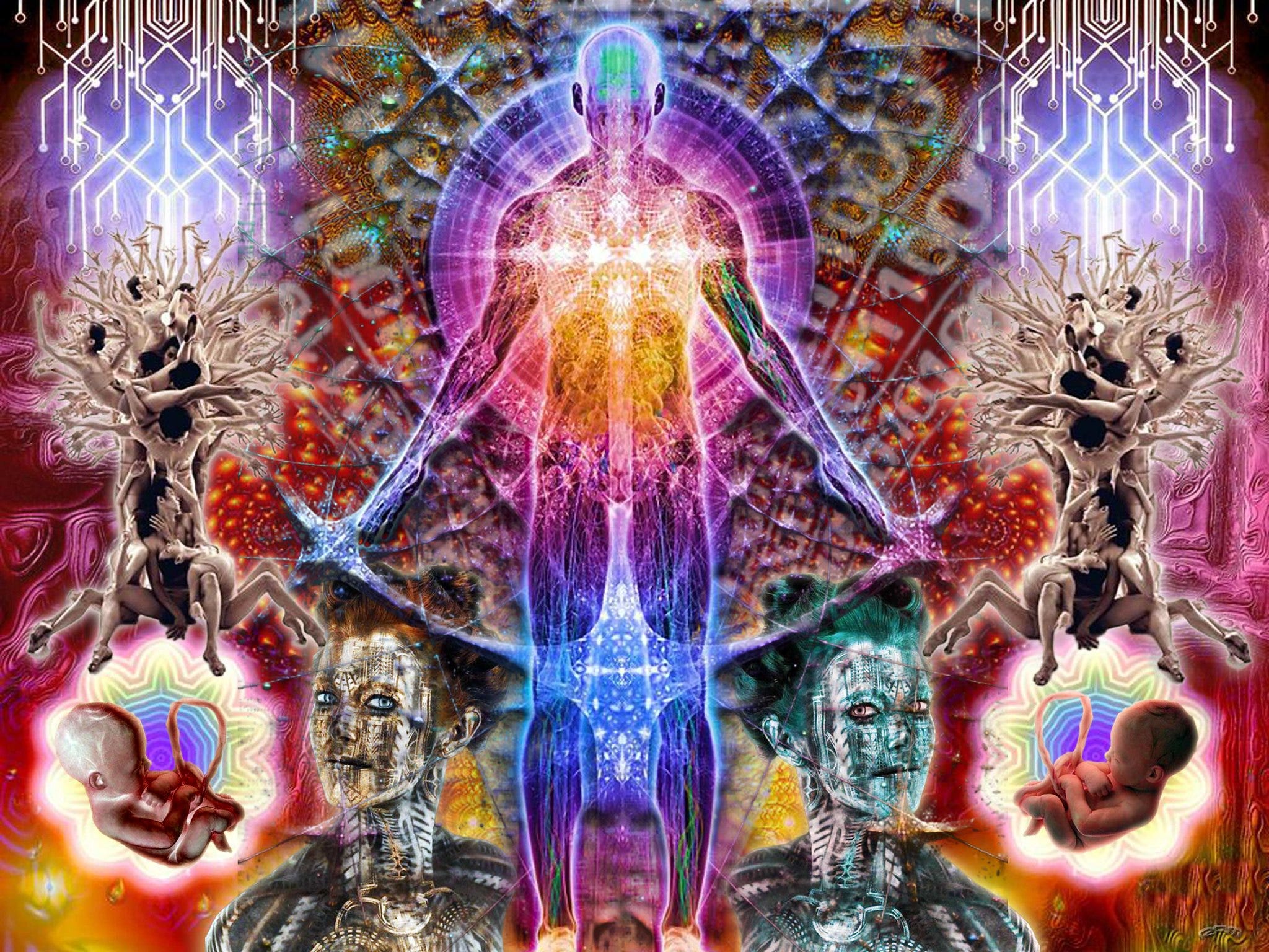 Transfigured Humman Transhumanism's threat to the human: Bafflement Essay #11