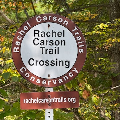 Birding the Rachel Carson Trail logo
