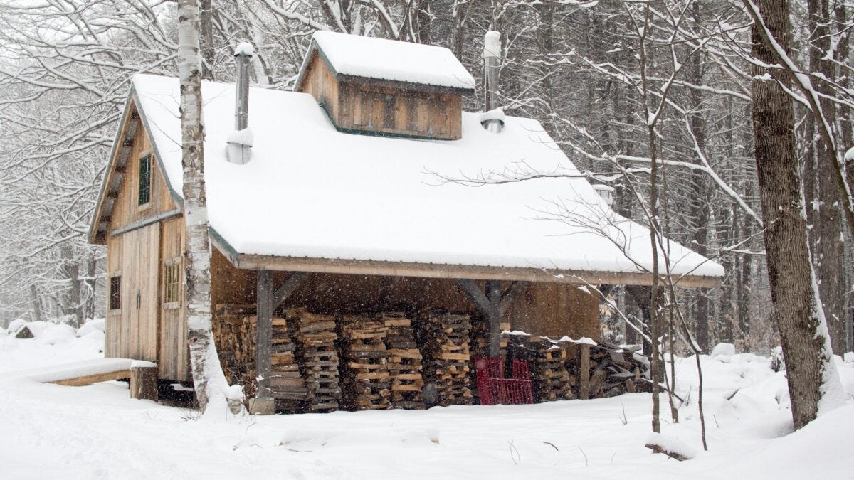 house covered with snow in the woods house covered with snow in the woods