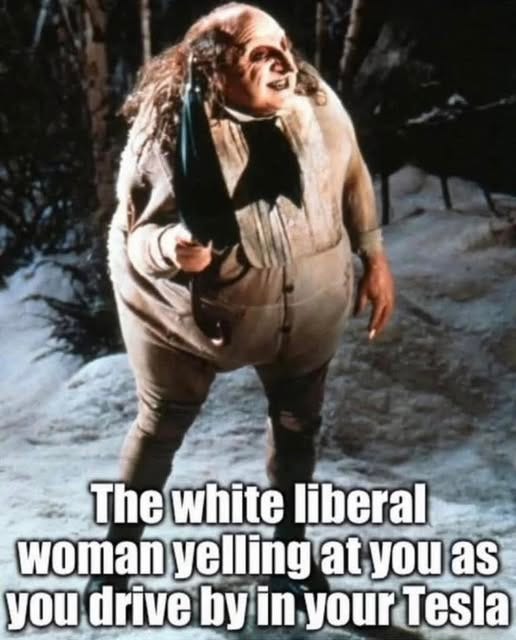 May be an image of 1 person and text that says 'The white liberal woman yelling at you as you drive byin in your Tesla'