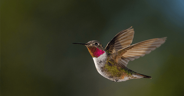 Andrew E. Russell/Flickr Andrew E. Russell/Flickr