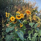 The Quiet Work of Belonging