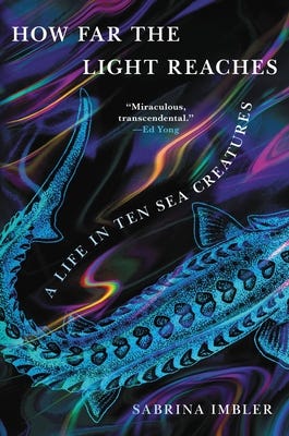 An artistic depiction of a sturgeon from above, with swirling colors around in a blue and purple color palette.
