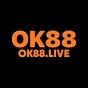ok88's avatar