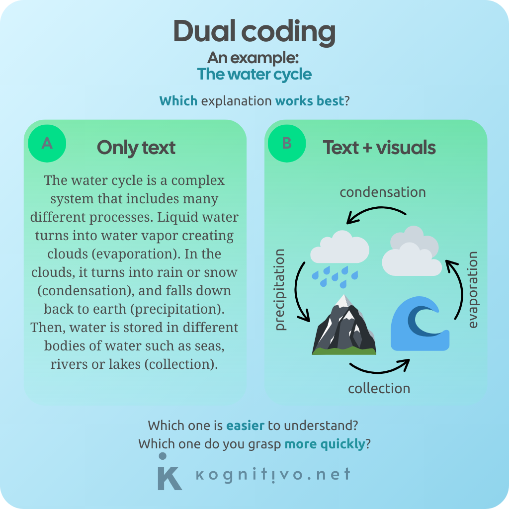 Diagram showing an example of dual coding.