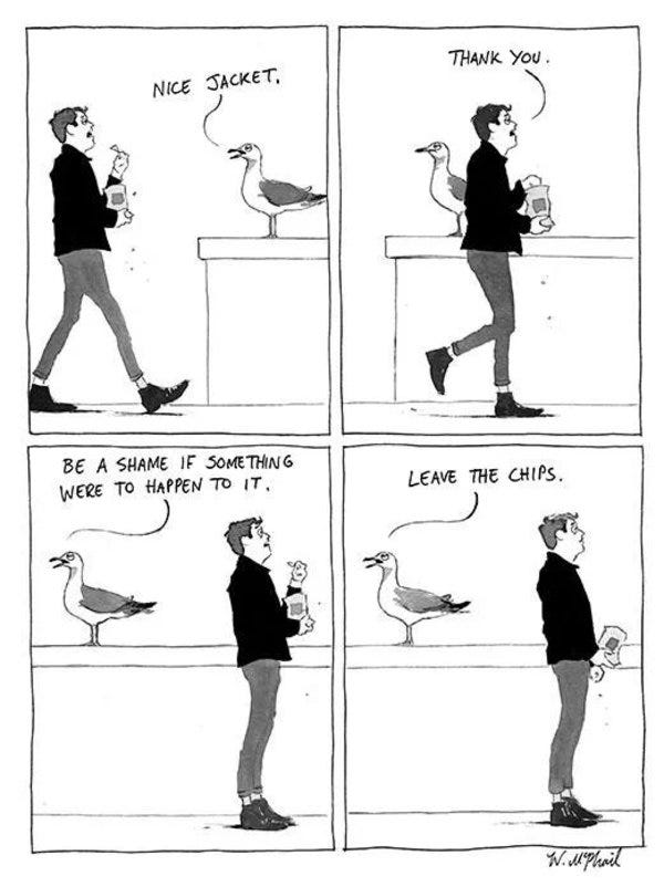 Jacket or Chips? - Credit: Reddit/u/liberalarts42 Jacket or Chips? - Credit: Reddit/u/liberalarts42