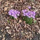 march is for making messes