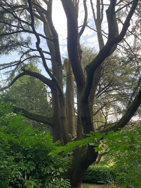 A feast for the eyes on a stroll in Newport