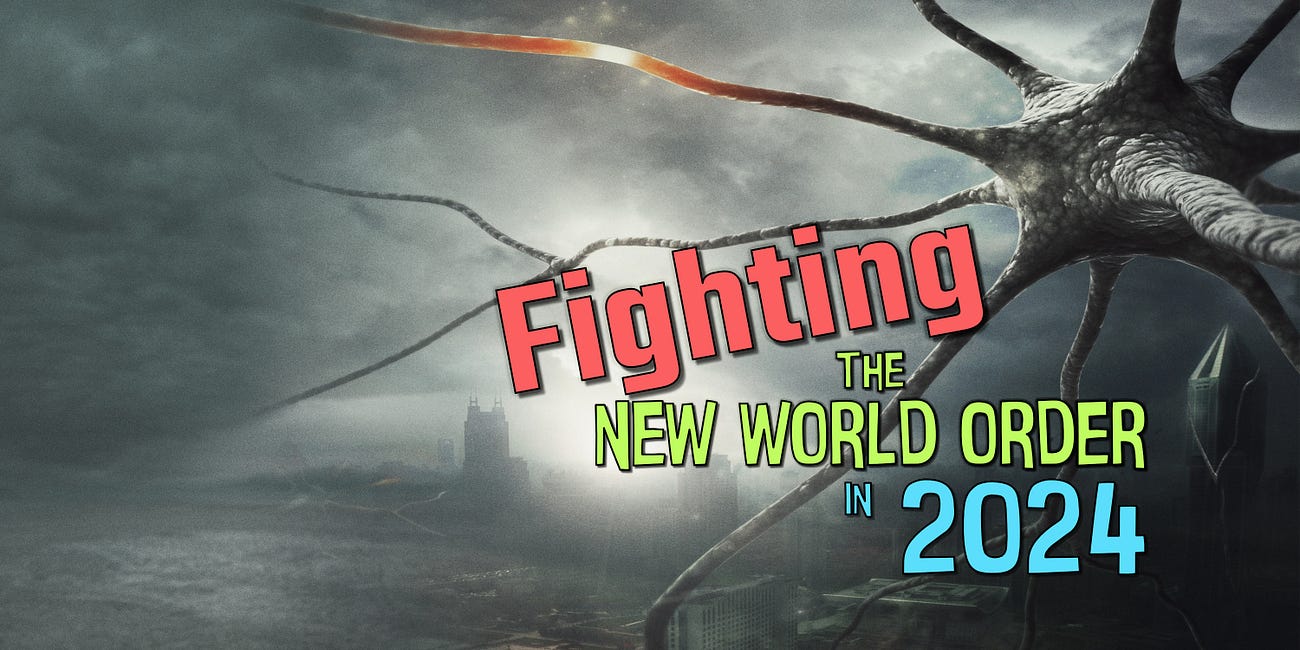 Fighting The New World Order in 2024