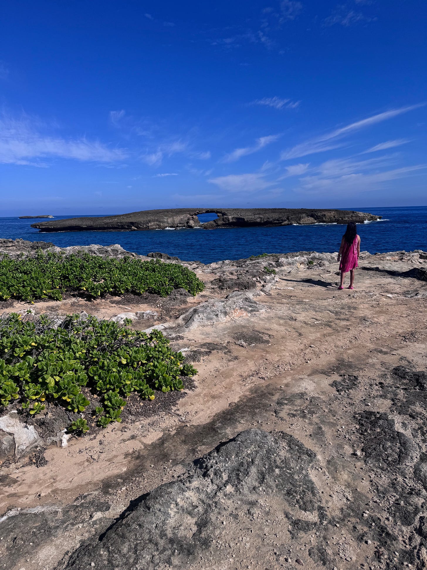 A person in a pink dress stands on a rocky coastal outcrop overlooking the deep blue Pacific Ocean. In the distance, a flat rocky island sits on the horizon beneath a vibrant blue sky with wispy white clouds. The foreground features weathered lava rock and patches of bright green beach naupaka vegetation growing along the shoreline.