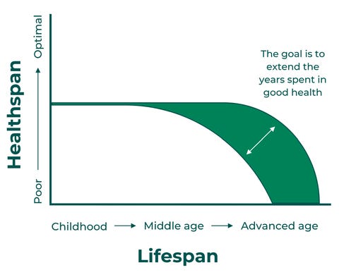 Aging Is Inevitable. Physical Decline Isn't. A Doctor Explains