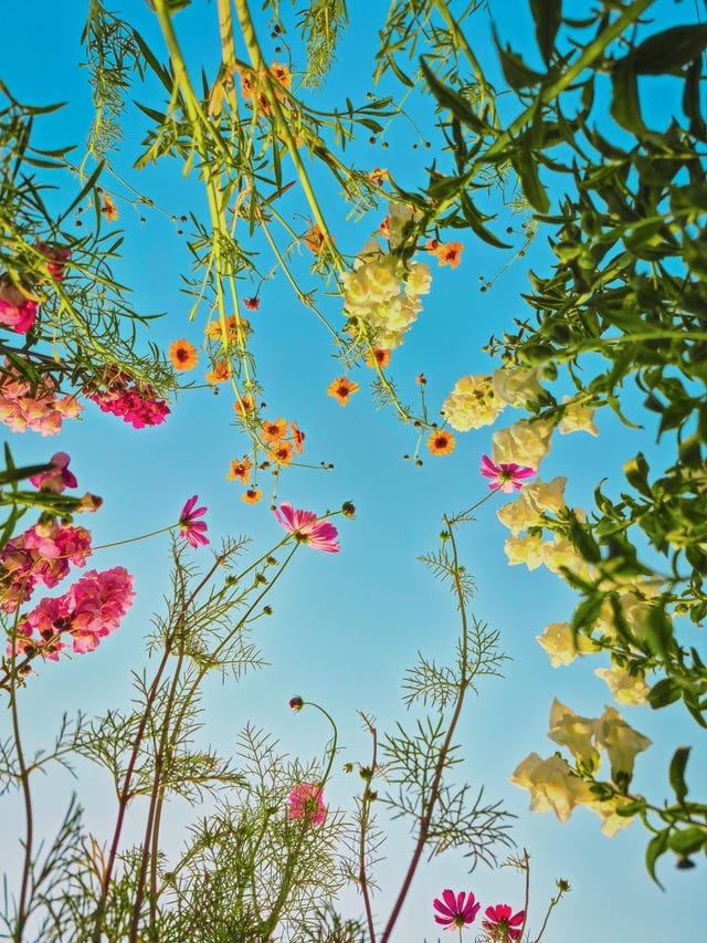 Suggestions ?? : r/AmateurPhotography