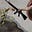 Abdullah Haroon's avatar