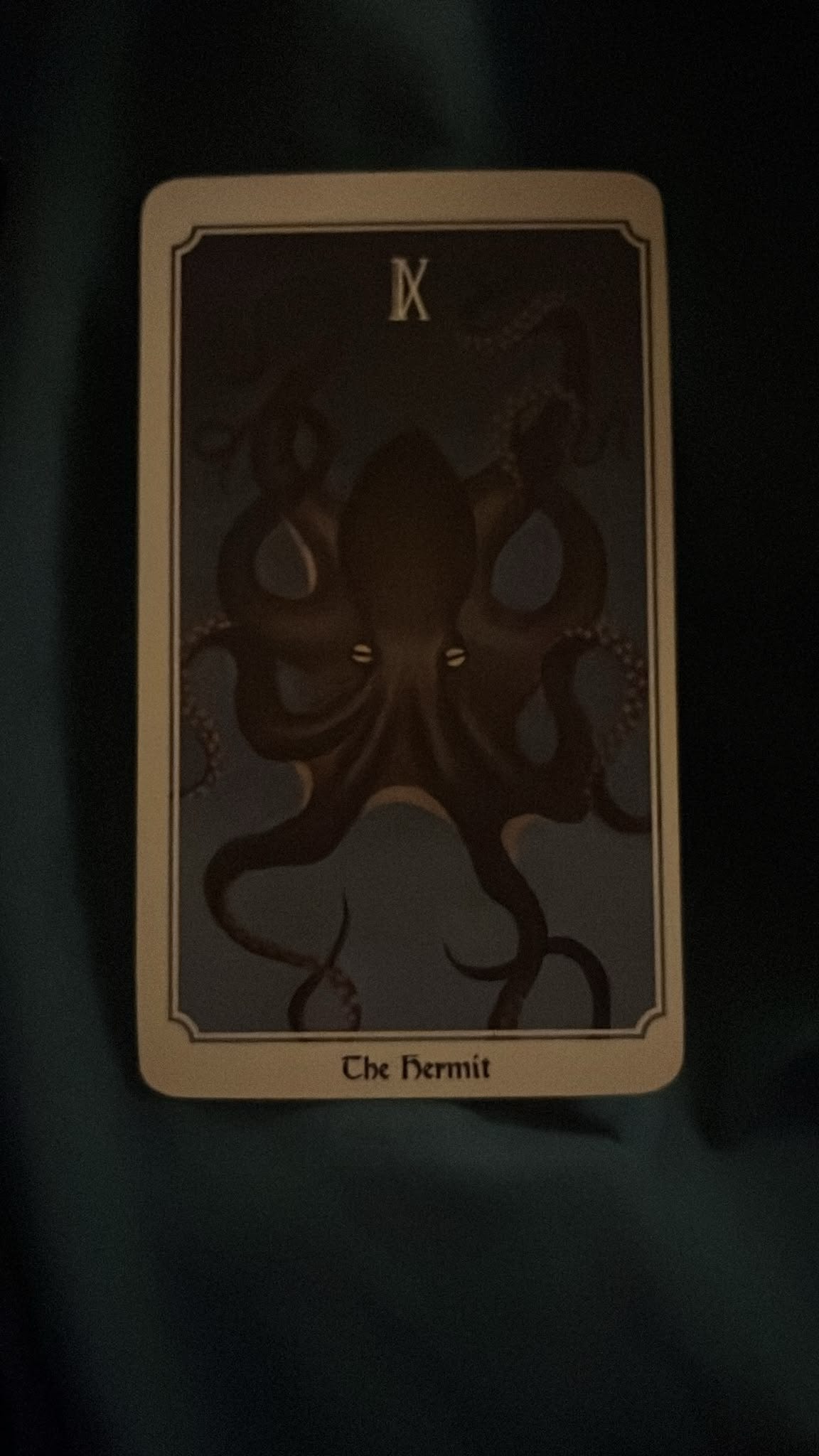 The Hermit tarot card from Elizabeth Sulis Kim’s Tarot DMs chat, illustrated with a dark octopus against muted blue shapes. The Hermit tarot card from Elizabeth Sulis Kim’s Tarot DMs chat, illustrated with a dark octopus against muted blue shapes.