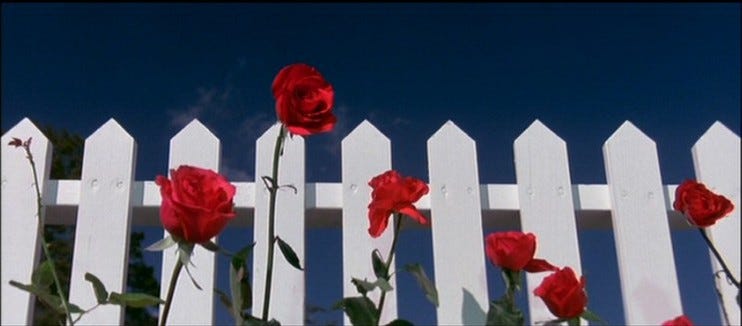 David Lynch's America | MUSEYON BOOKS