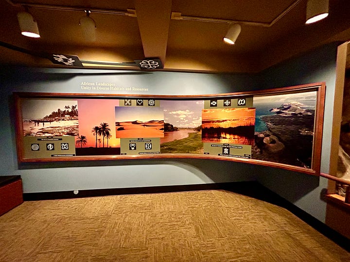 exhibits, galleries