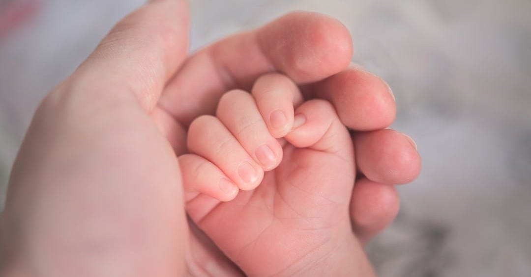 person holding baby's hand in close up photography