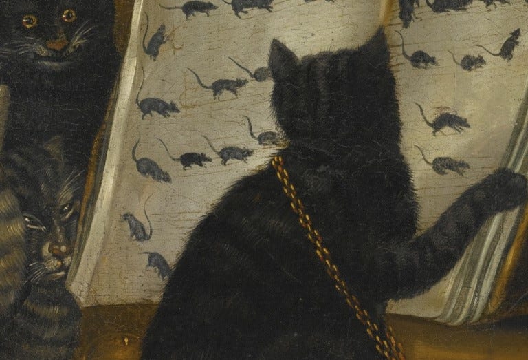 BEWARE THE CAT (1553): A Very Spooky Word-Hoard