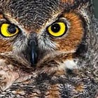 Owls & Bioweapons🦉