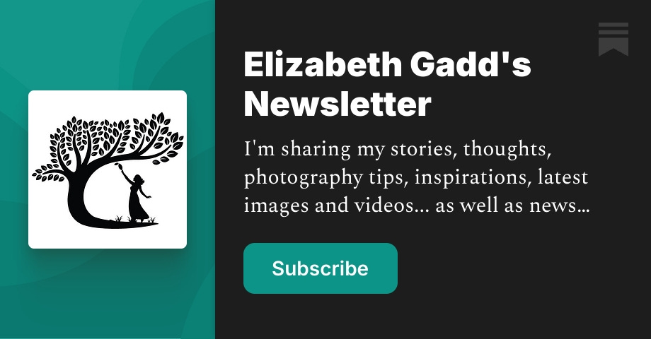 Elizabeth Gadd's Newsletter | Substack