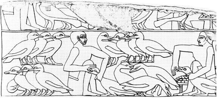 A drawing of a person holding a group of birds

AI-generated content may be incorrect.