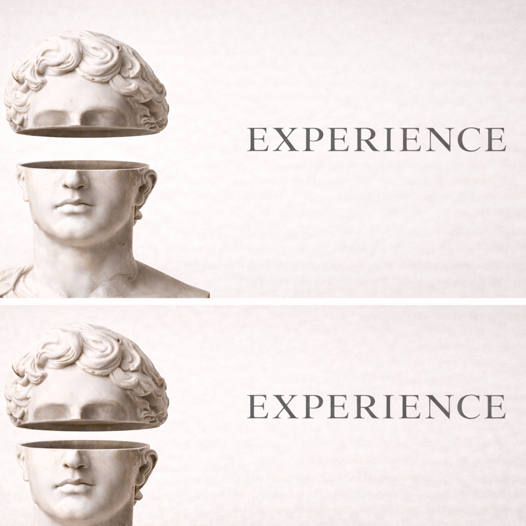 Experience - di Erica Sirgiovanni