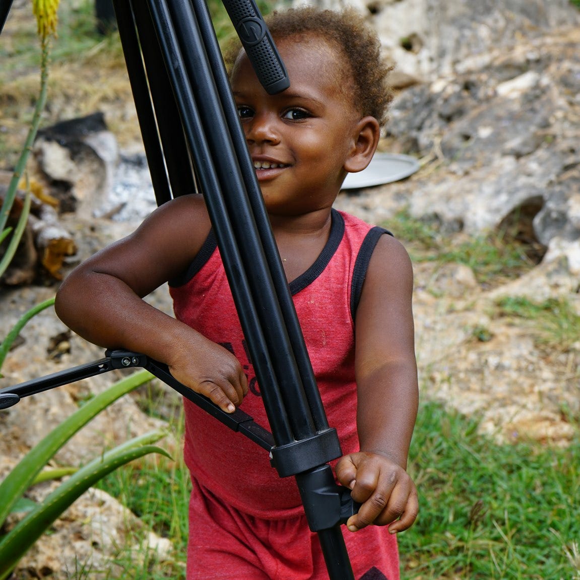 Nicoletta’s Substack