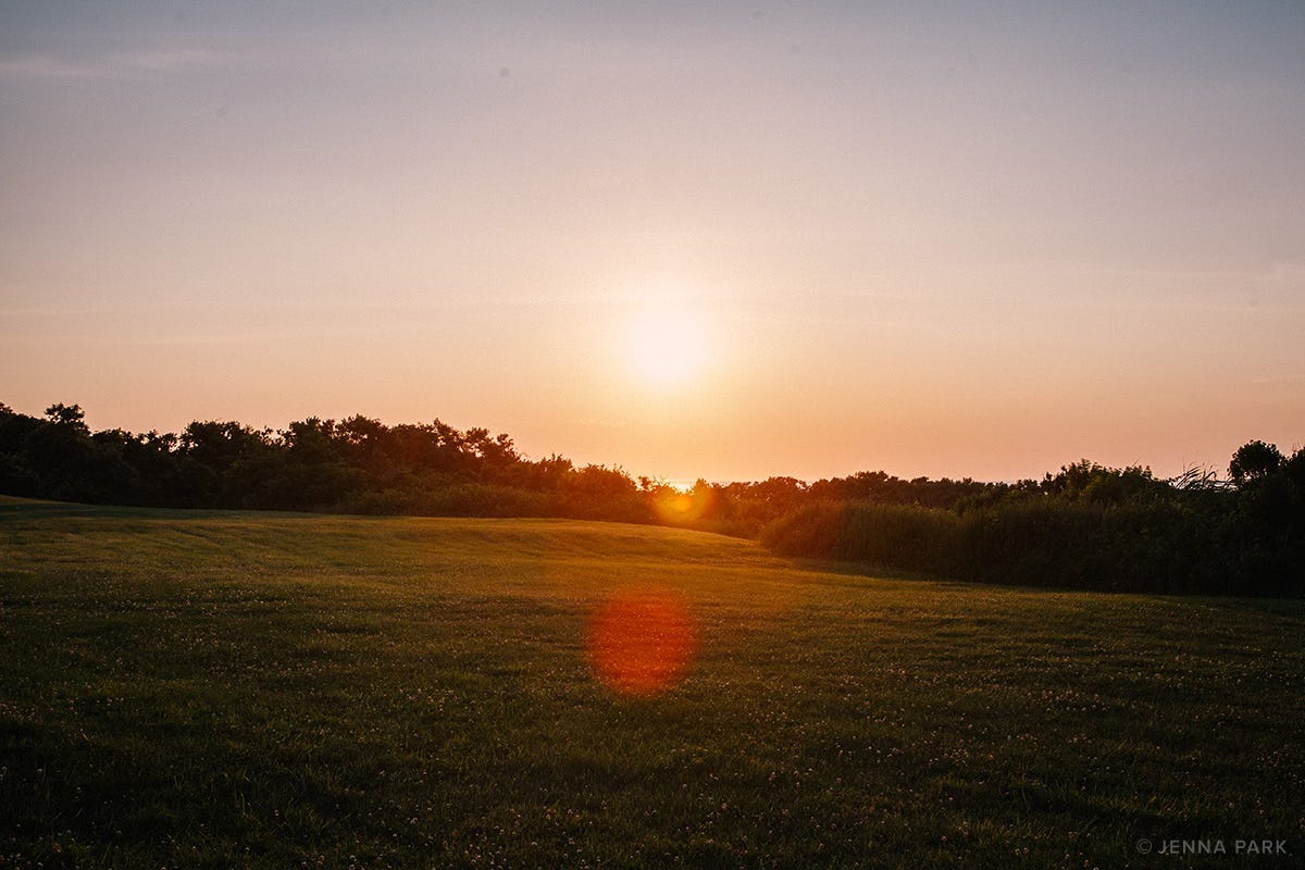 Summer sun flares