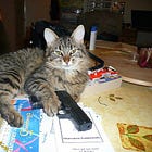 Joe Biden Coming To Take Your Guns Away. Yes, *Again*.