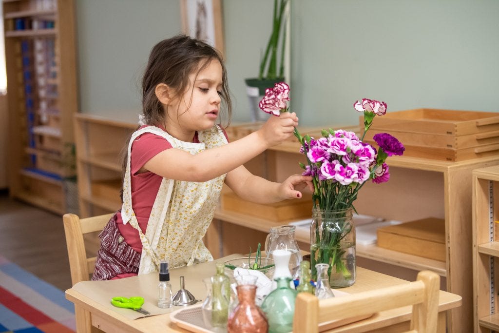 Child arranging flowers in a Montessori classroom, participating in meaningful work instead of a chore chart activity.