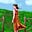 M. Anne Tomlin's avatar