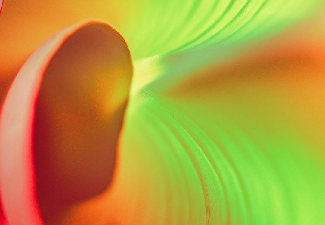 red and yellow flower petals